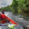 Les pilotes de pirogues sont très compétents et connaissent parfaitement le fleuve.